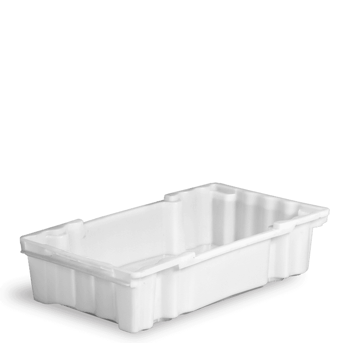 Caixa Para Pescado Niterói